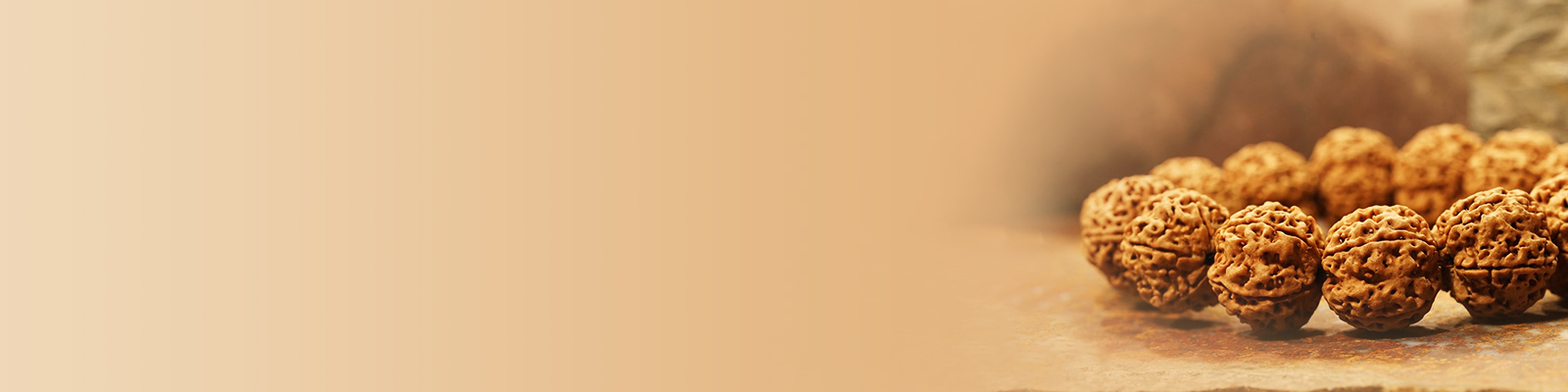 15 Mukhi 15 Mukhi