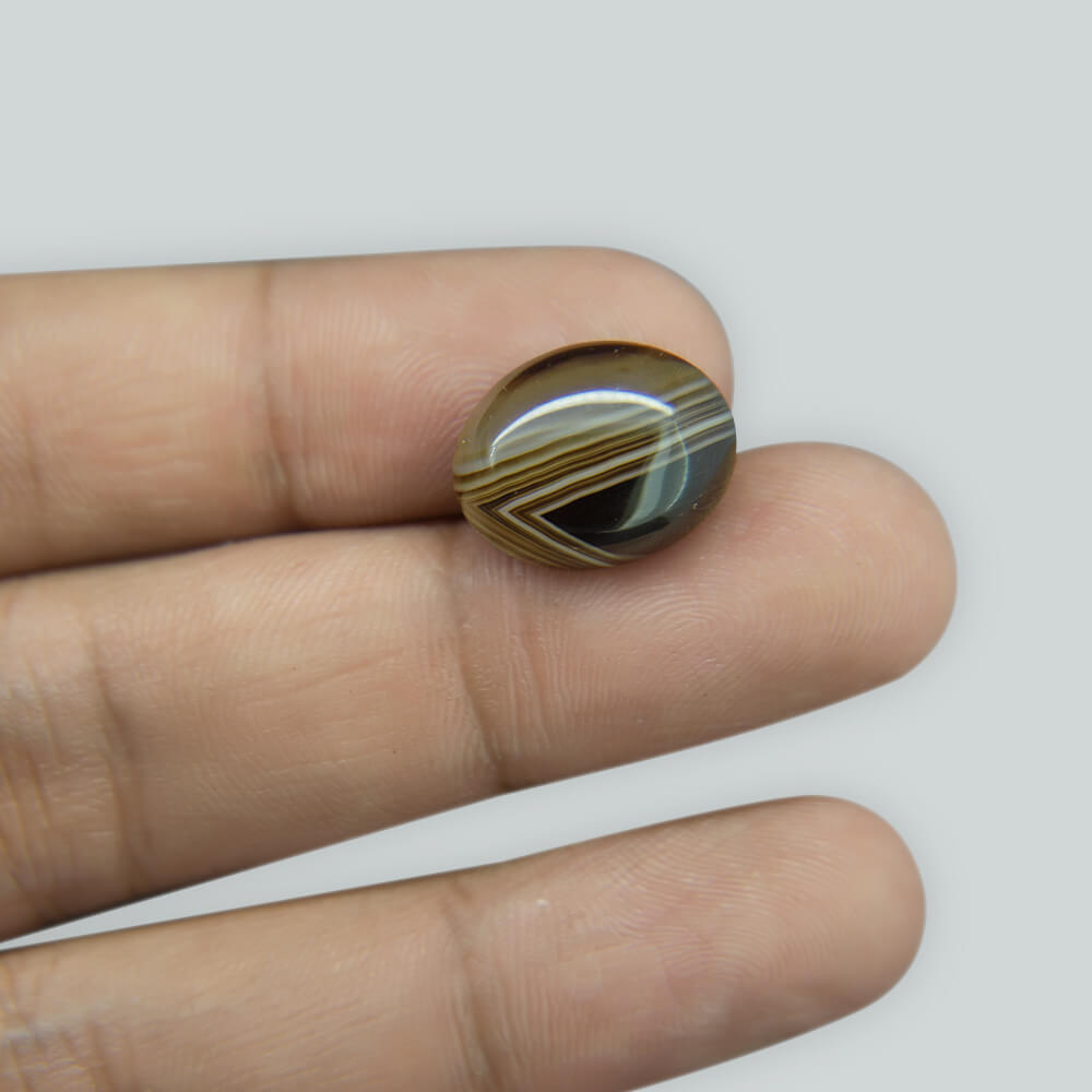 Sulemani Black Hakik- 8.87 Carat
