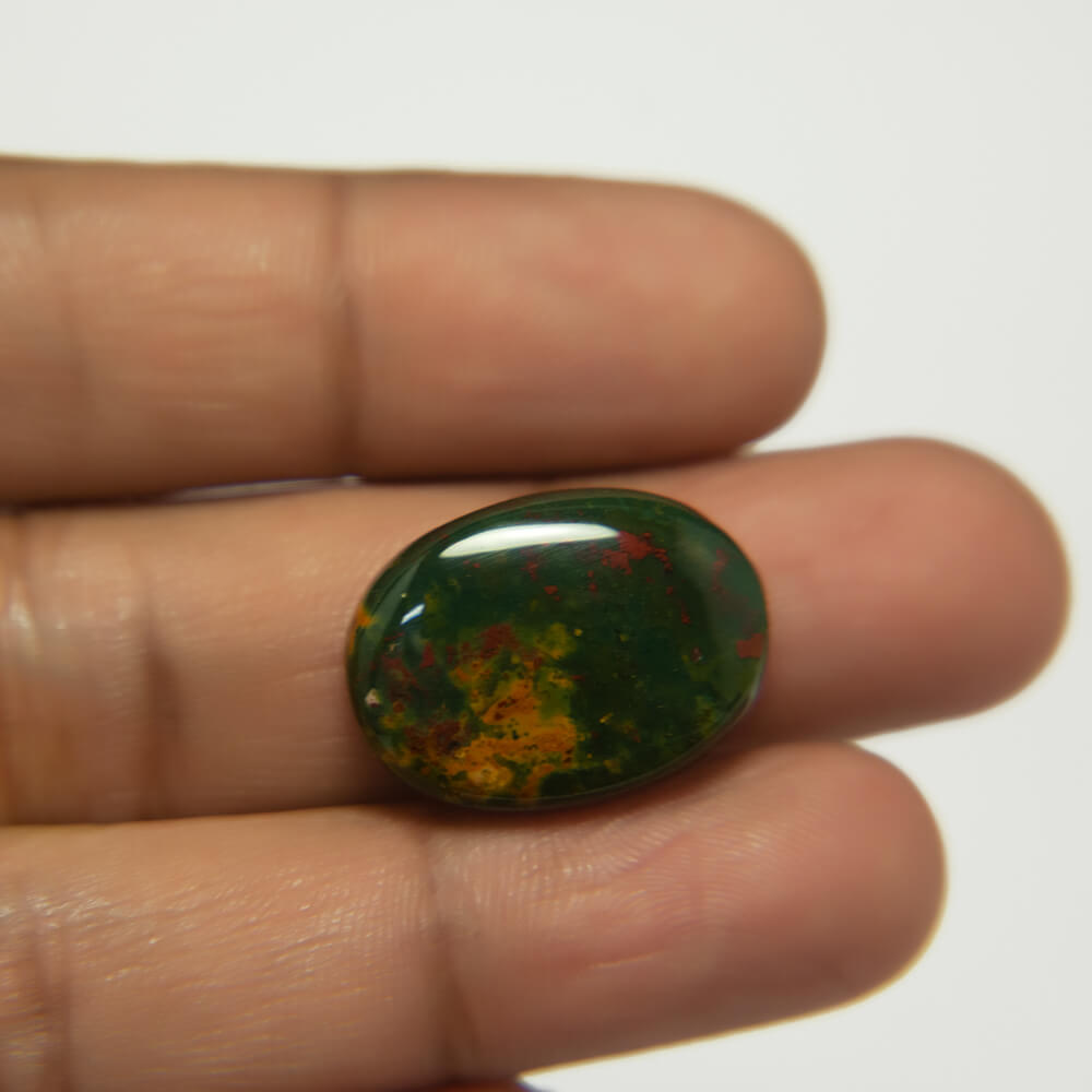 Bloodstone - 22.37 Carat 
