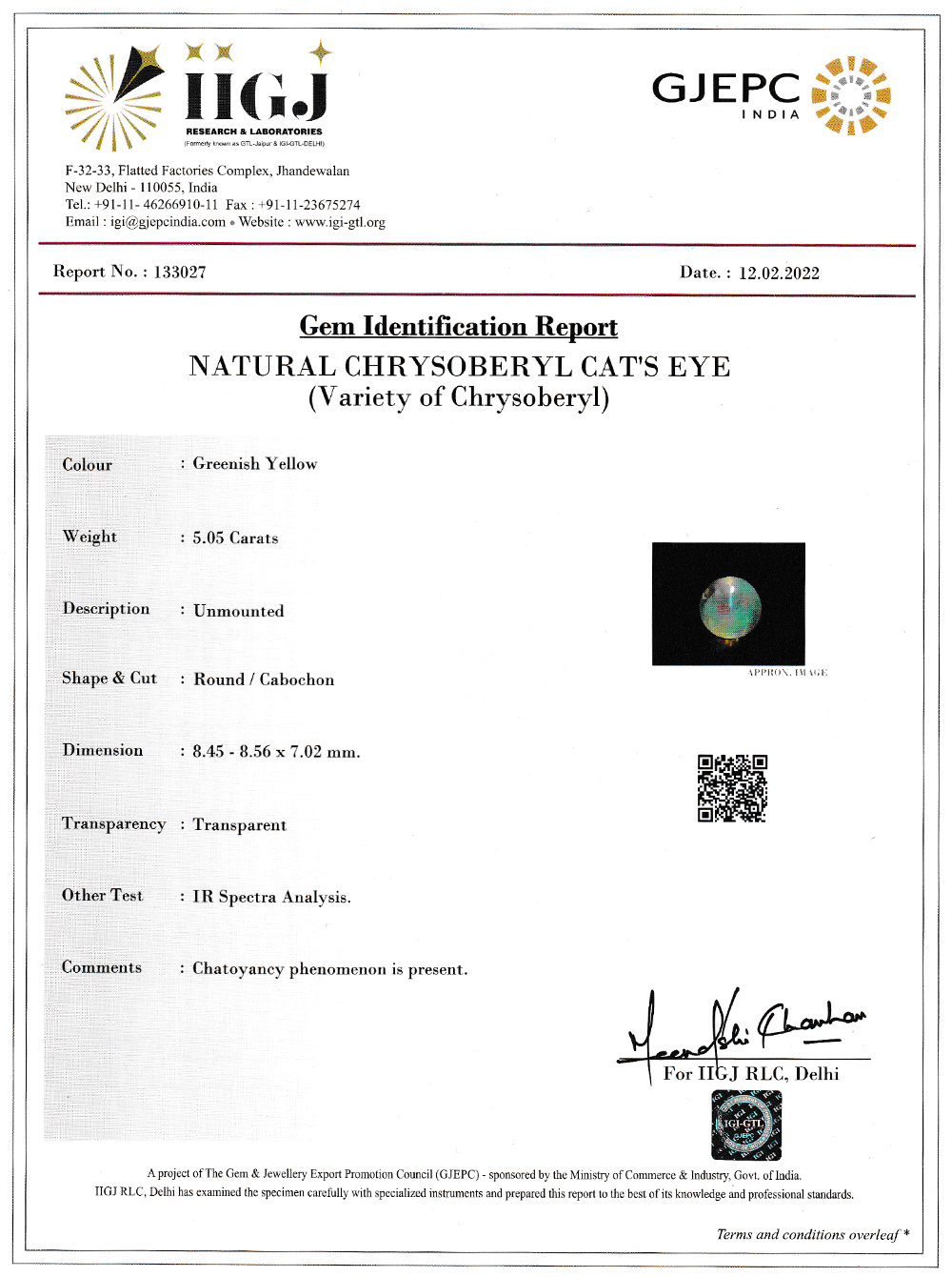 Chrysoberyl Cat's Eye (Lehsunia) - 5.05 Carat (5.50 Ratti)