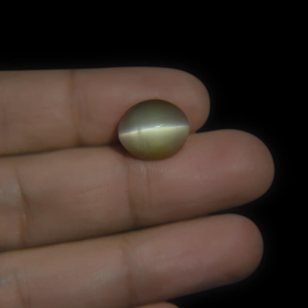 Cat's Eye Stone - 9.09 Carat (10.25 Ratti)