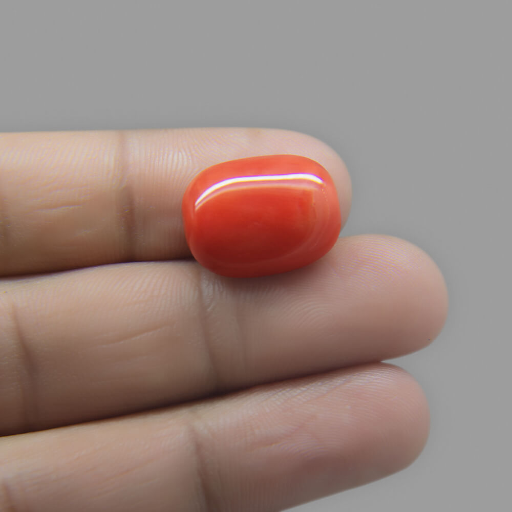 Red Coral (Moonga) Italian - 16.42 Carat (18.25 Ratti)