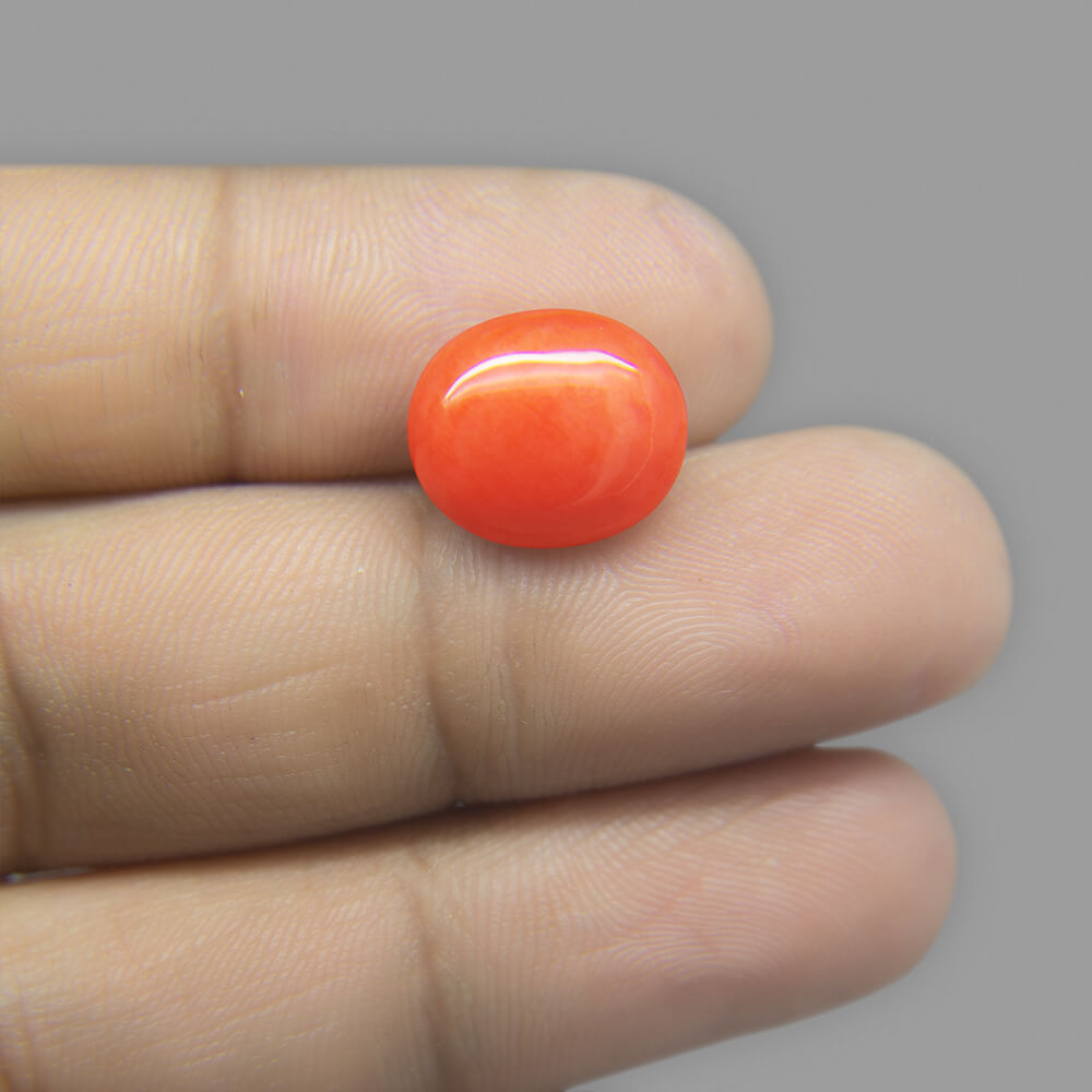 Red Coral (Moonga) Japanese - 6.26 Carat (7.00 Ratti)