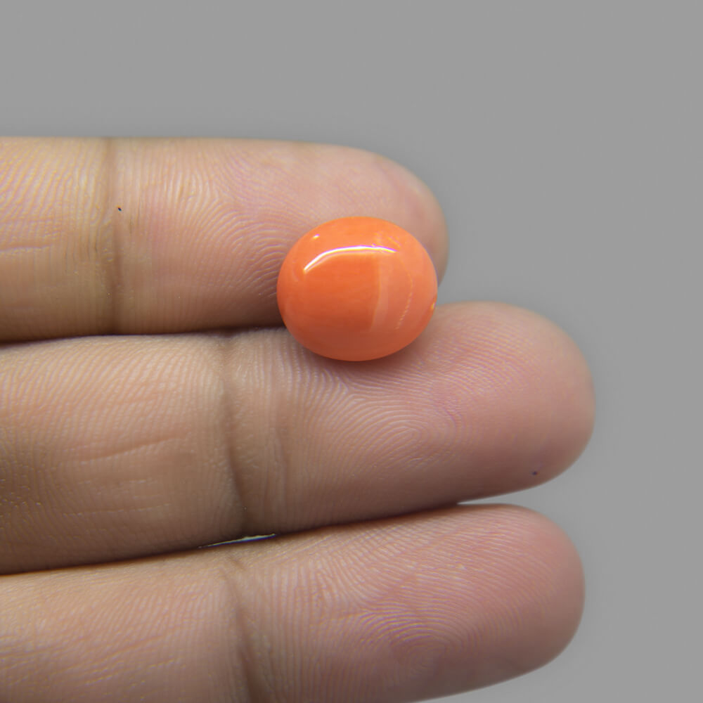 Red Coral (Moonga) Japanese - 6.14 Carat (6.81 Ratti)