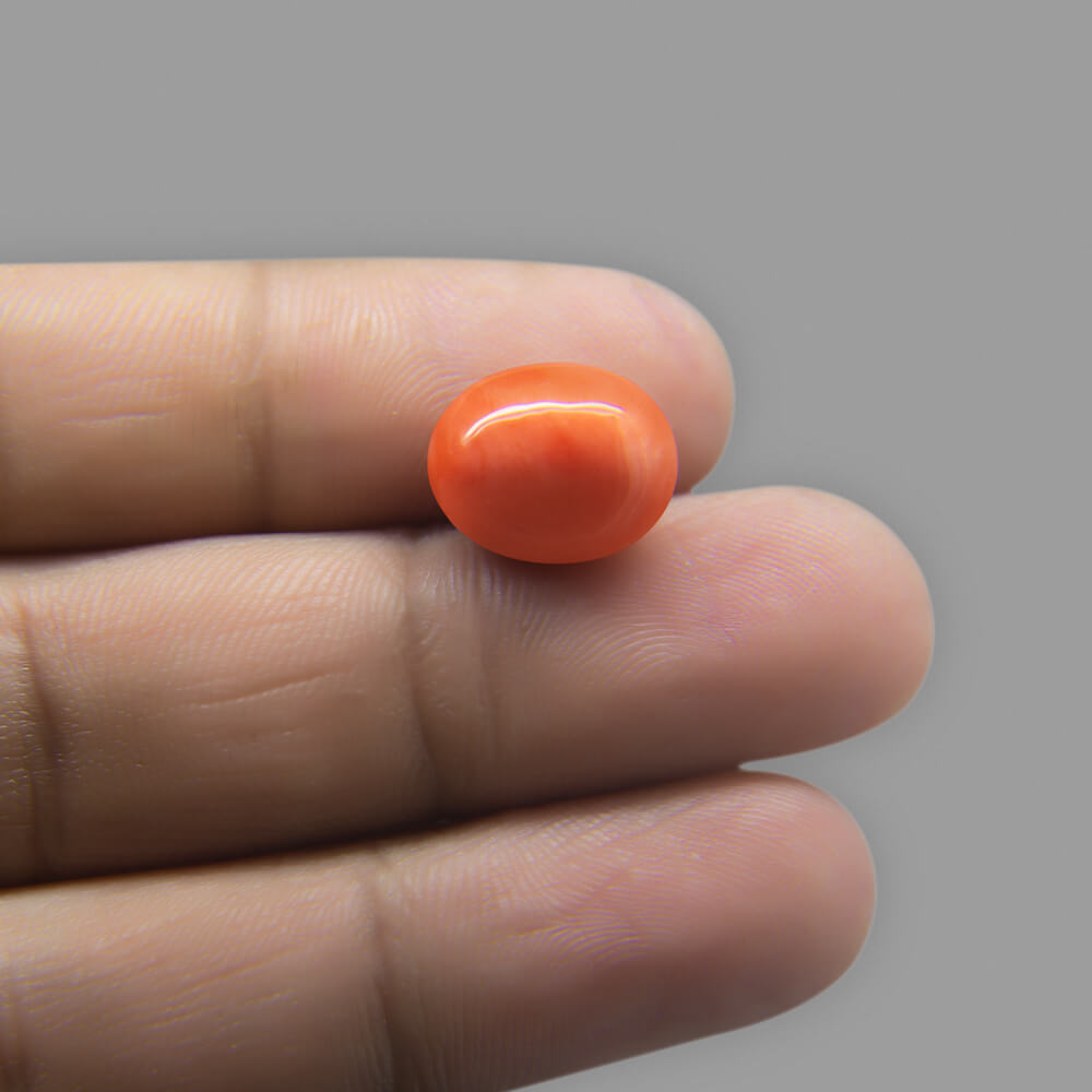 Red Coral (Moonga) Japanese - 7.22 Carat (8.00 Ratti)