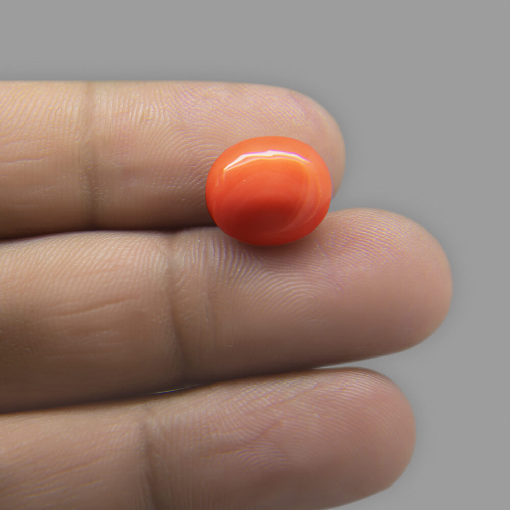 Red Coral (Moonga) Japanese - 6.28 Carat (7.00 Ratti)