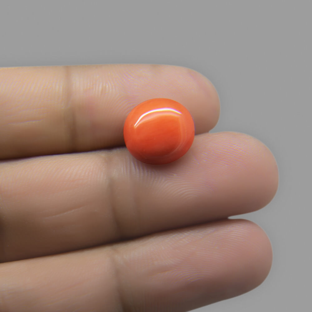 Red Coral (Moonga) Japanese - 6.21 Carat (6.90 Ratti)