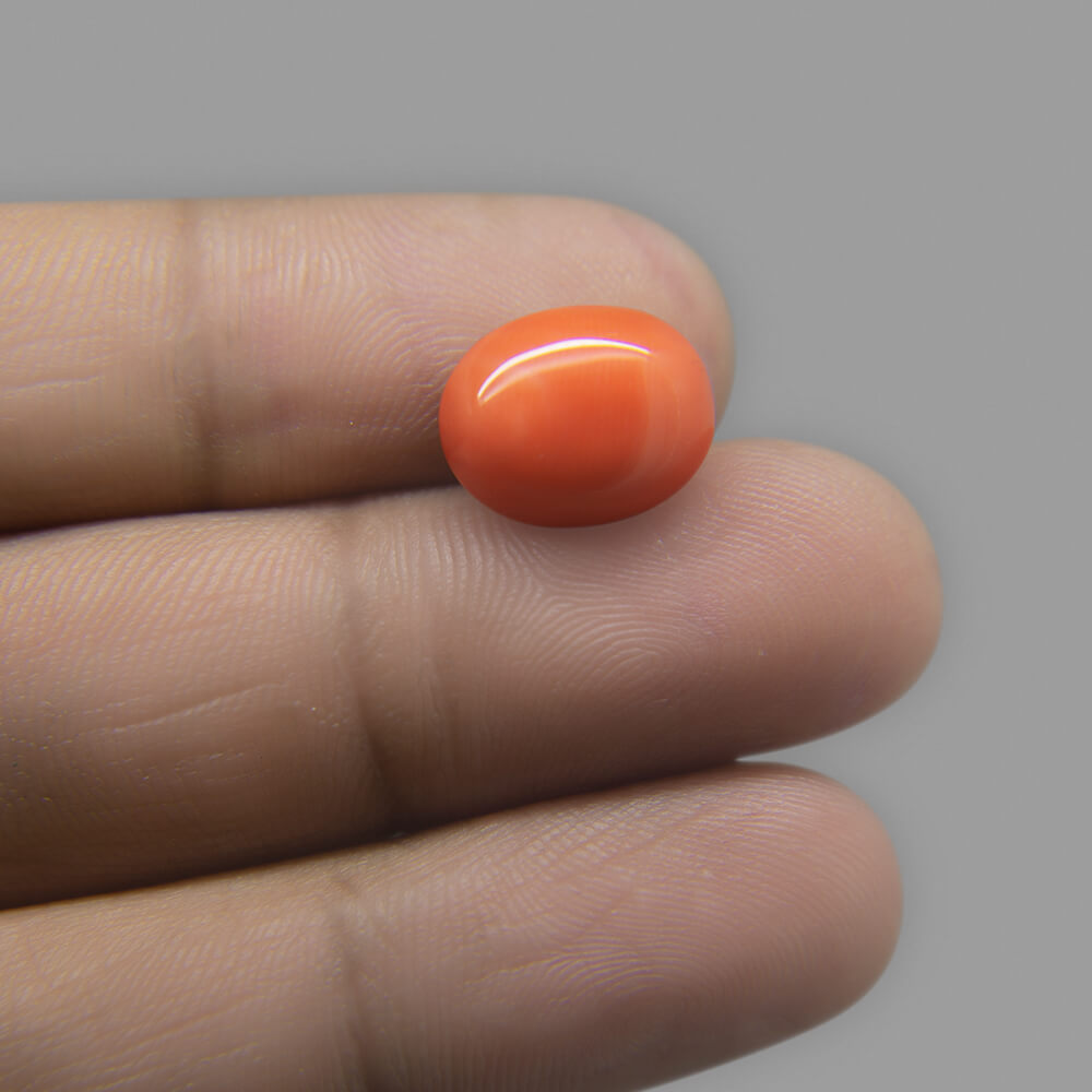Red Coral (Moonga) Japanese - 6.88 Carat (7.50 Ratti)