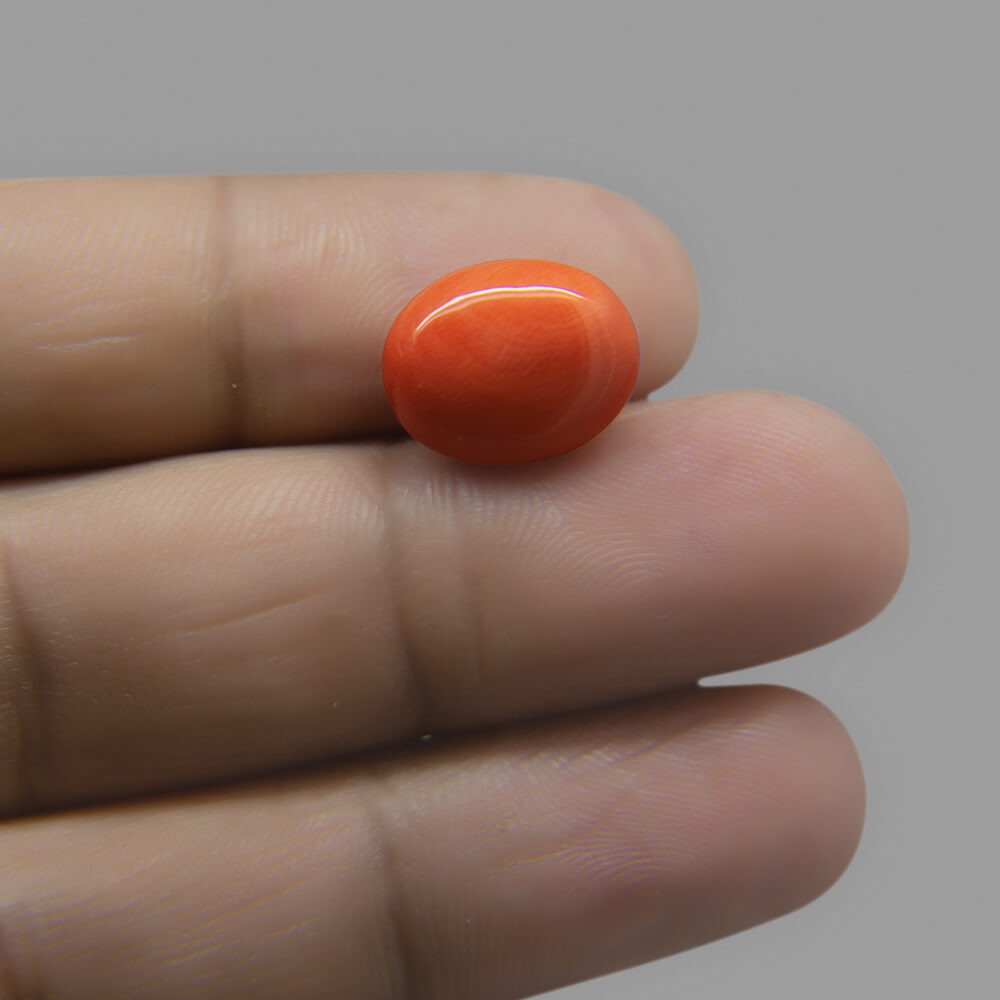 Red Coral (Moonga) Japanese - 6.58 Carat (7.25 Ratti)