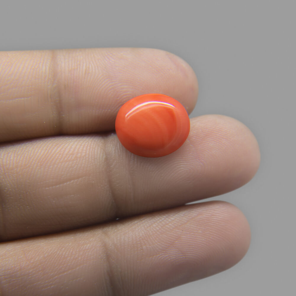 Red Coral (Moonga) Japanese - 6.45 Carat (7.25 Ratti)