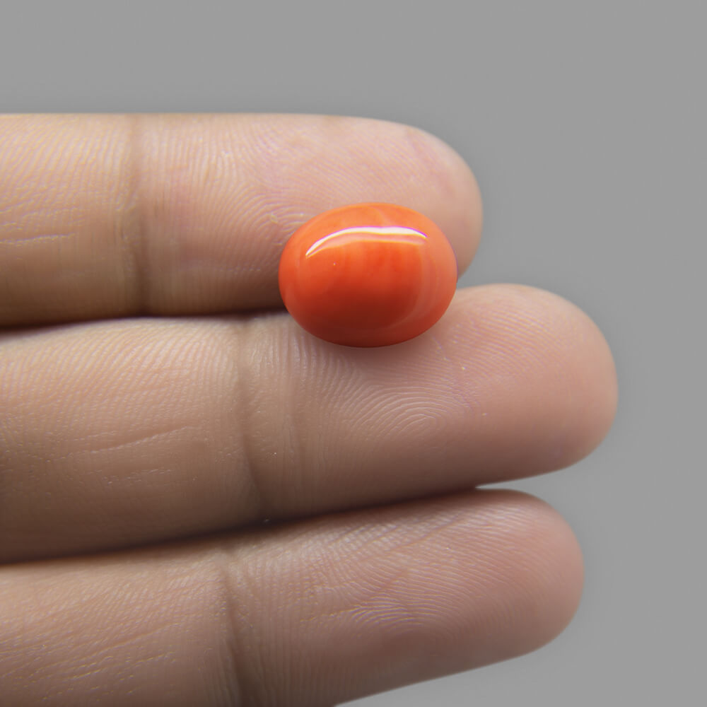 Red Coral (Moonga) Japanese - 6.91 Carat (7.50 Ratti)
