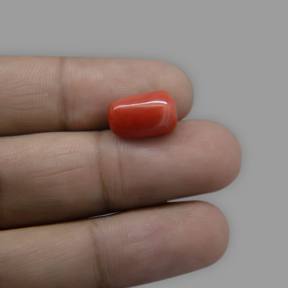 Red Coral (Moonga) Italian - 8.32 Carat (9.25 Ratti)
