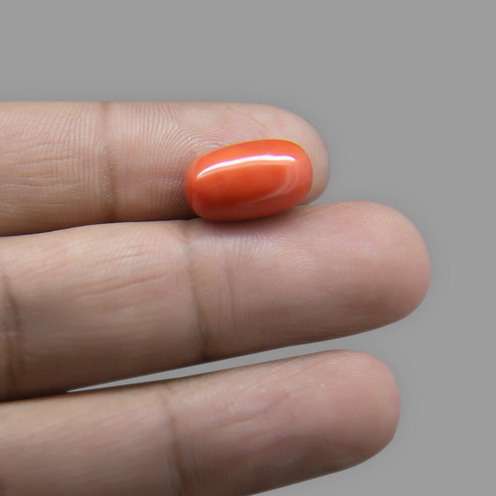 Red Coral (Moonga) Italian - 8.51 Carat (9.50 Ratti)