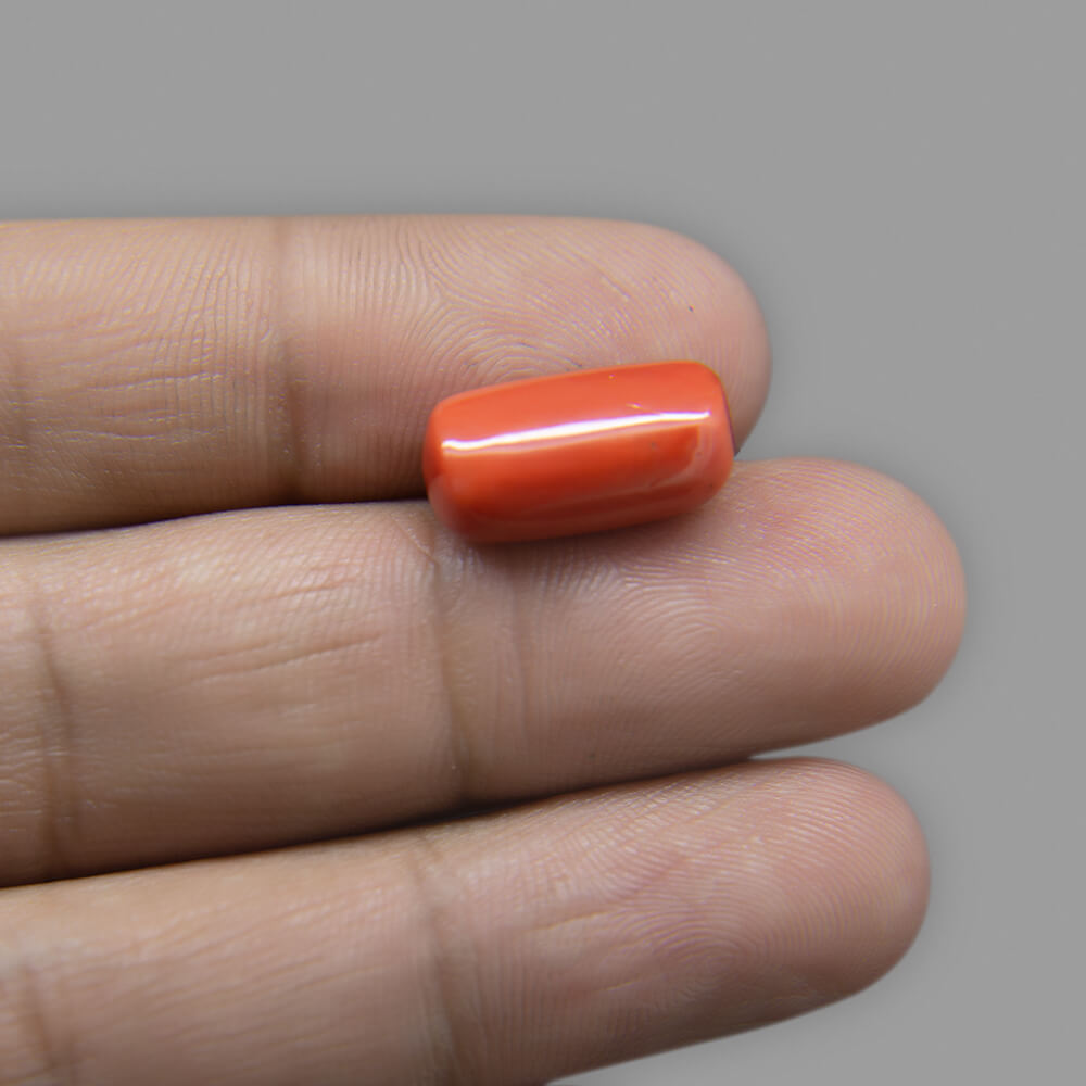 Red Coral (Moonga) Italian - 10.04 Carat (11.25 Ratti)