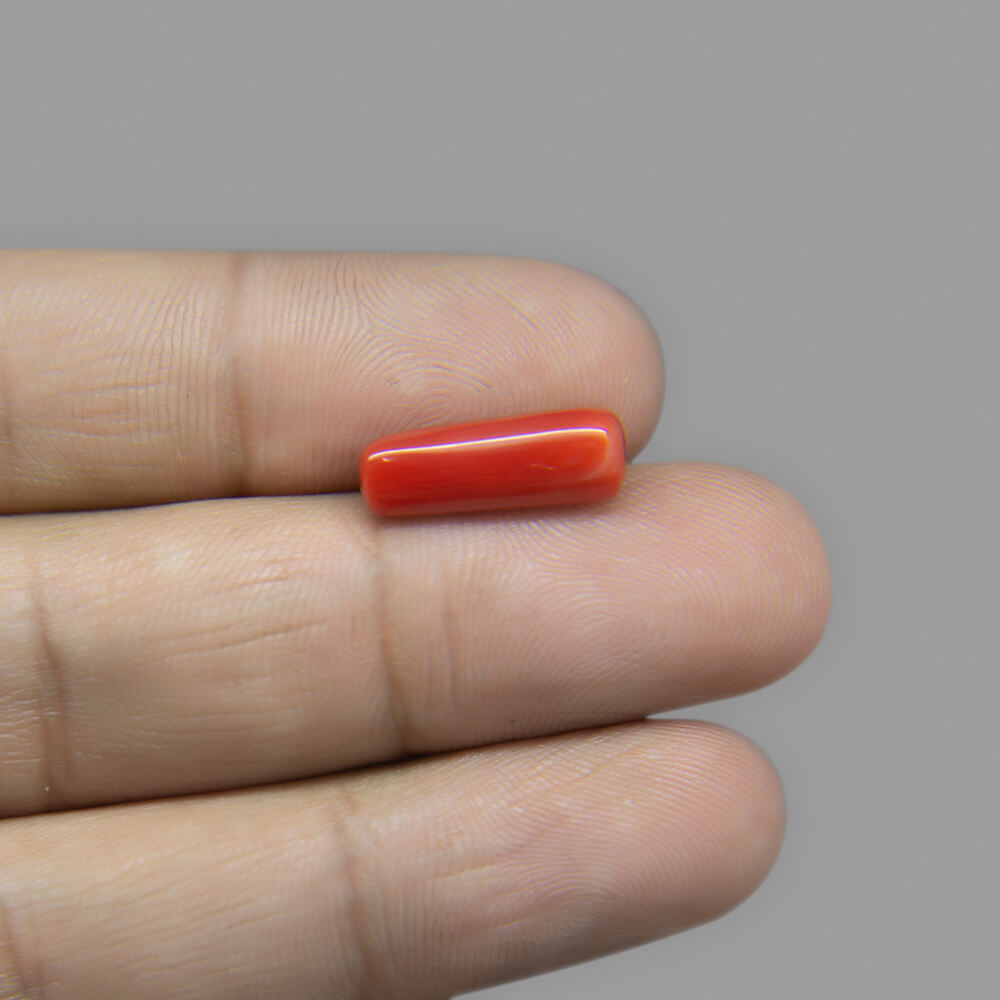 Red Coral (Moonga) Italian - 4.56 Carat (5.10 Ratti)