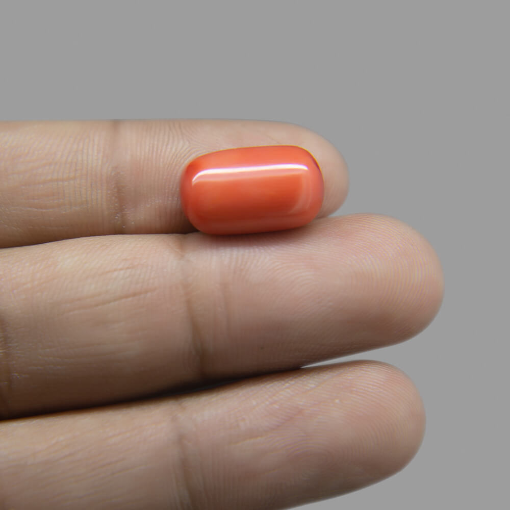 Red Coral (Moonga) Italian - 11.09 Carat (12.25 Ratti)