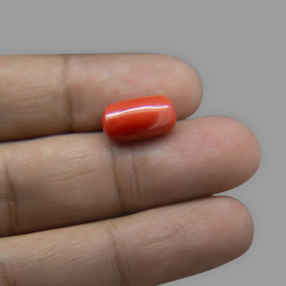 Red Coral (Moonga) Italian - 7.14 Carat (8.00 Ratti)
