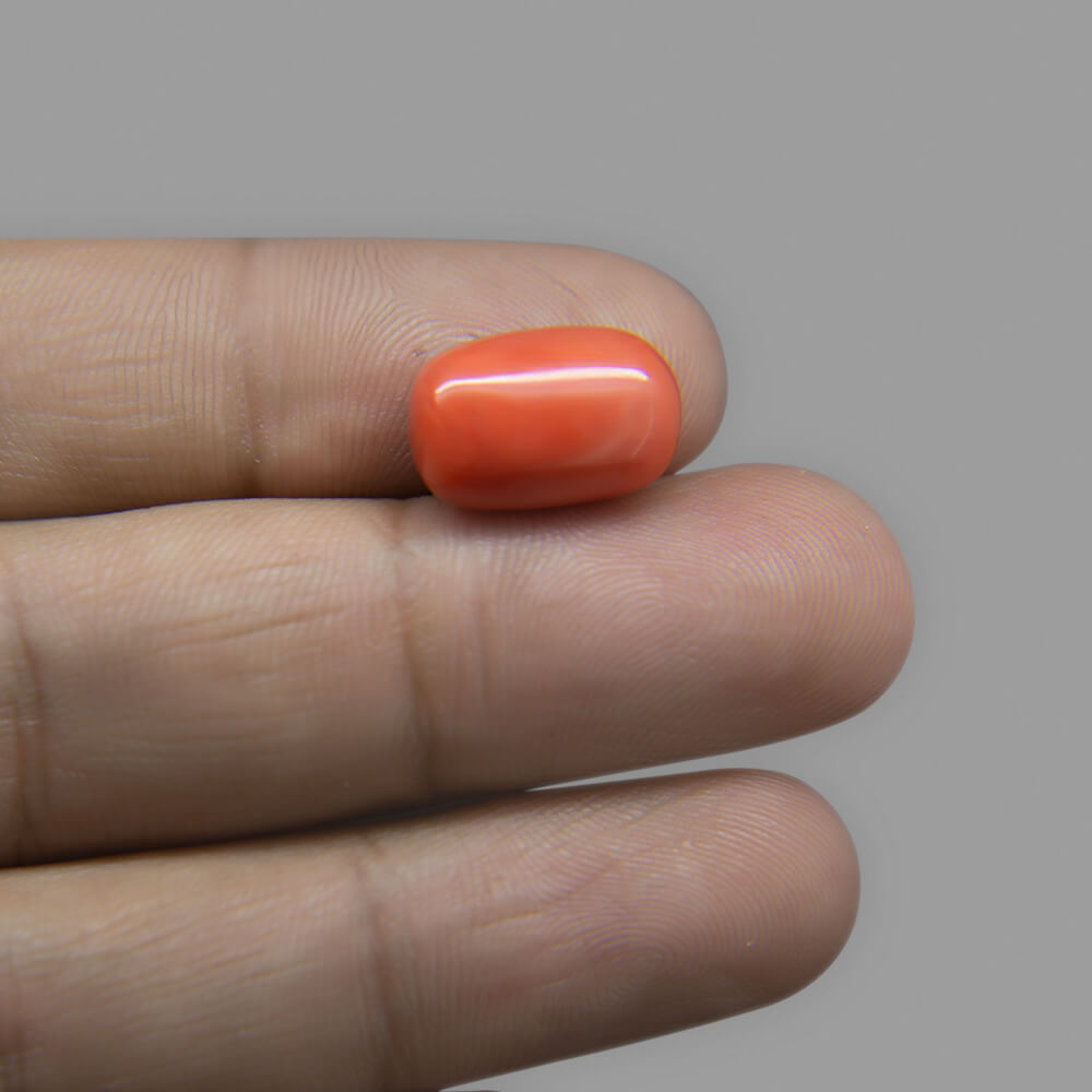 Red Coral (Moonga) Italian - 7.58 Carat (8.50 Ratti)