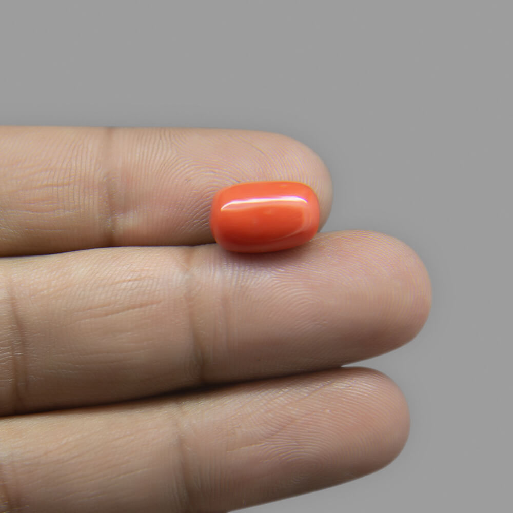 Red Coral (Moonga) Italian - 6.26 Carat (7.00 Ratti)