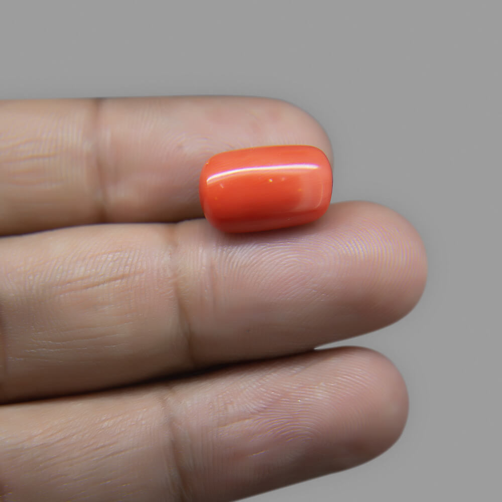 Red Coral (Moonga) Italian - 8.08 Carat (9.00 Ratti)
