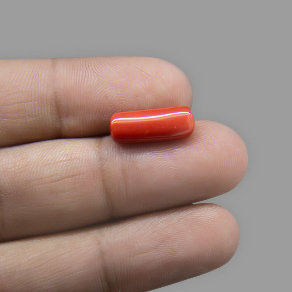 Red Coral (Moonga) Italian - 5.11 Carat (5.50 Ratti)