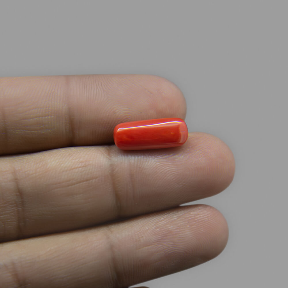 Red Coral (Moonga) Italian - 4.77 Carat (5.25 Ratti)