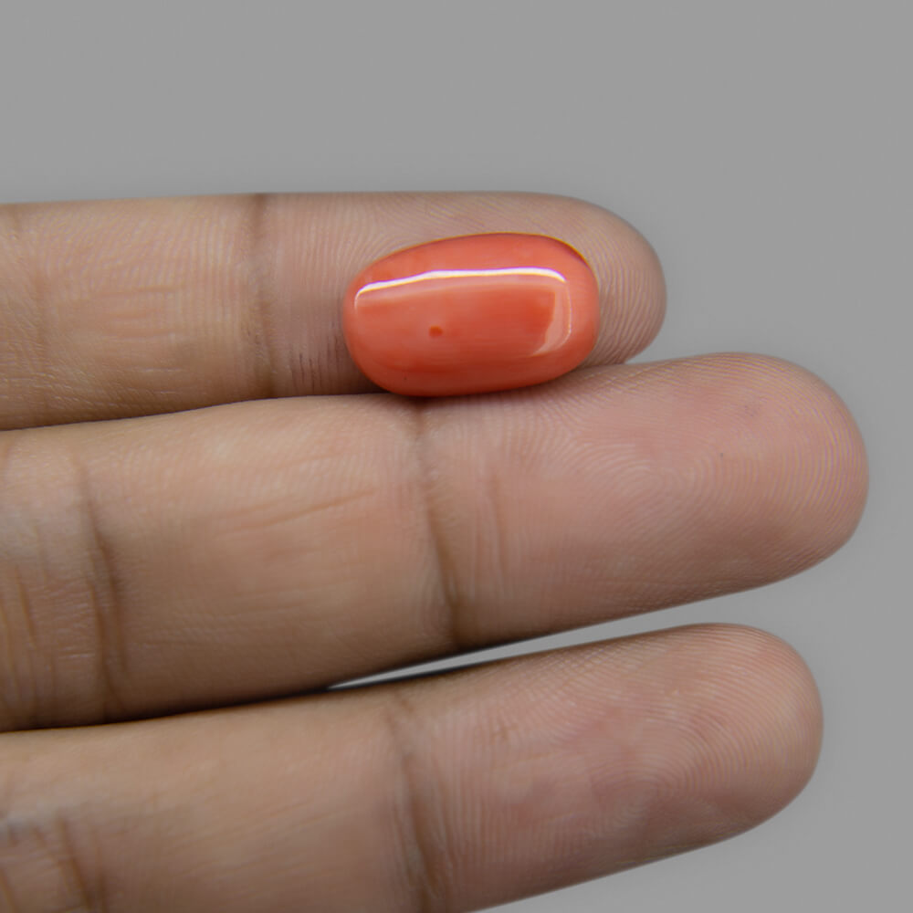 Red Coral - 9.13 Carat