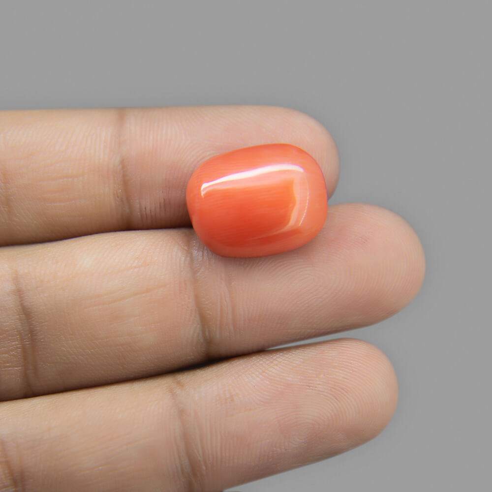 Red Coral - 13.22 Carat