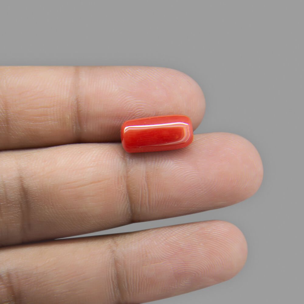 Red Coral - 5.82 Carat