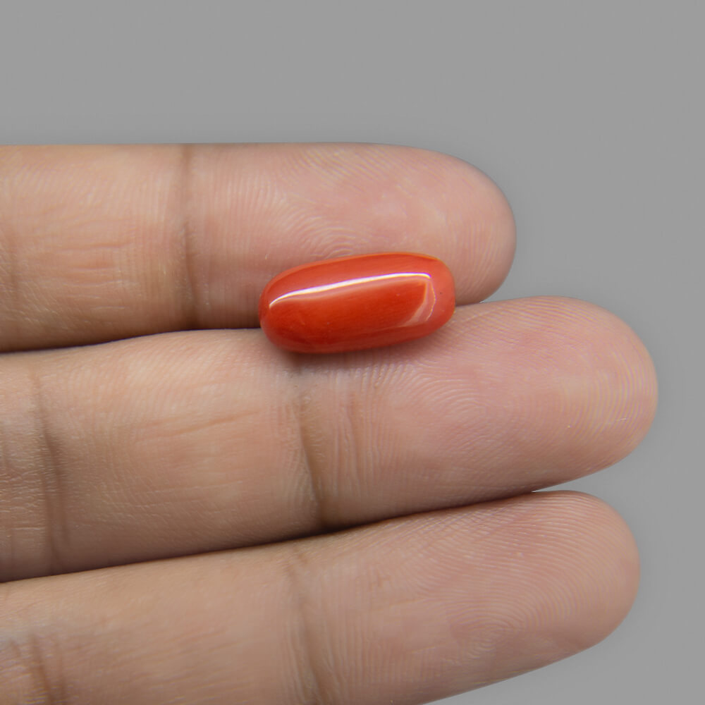 Red Coral - 6.39 Carat