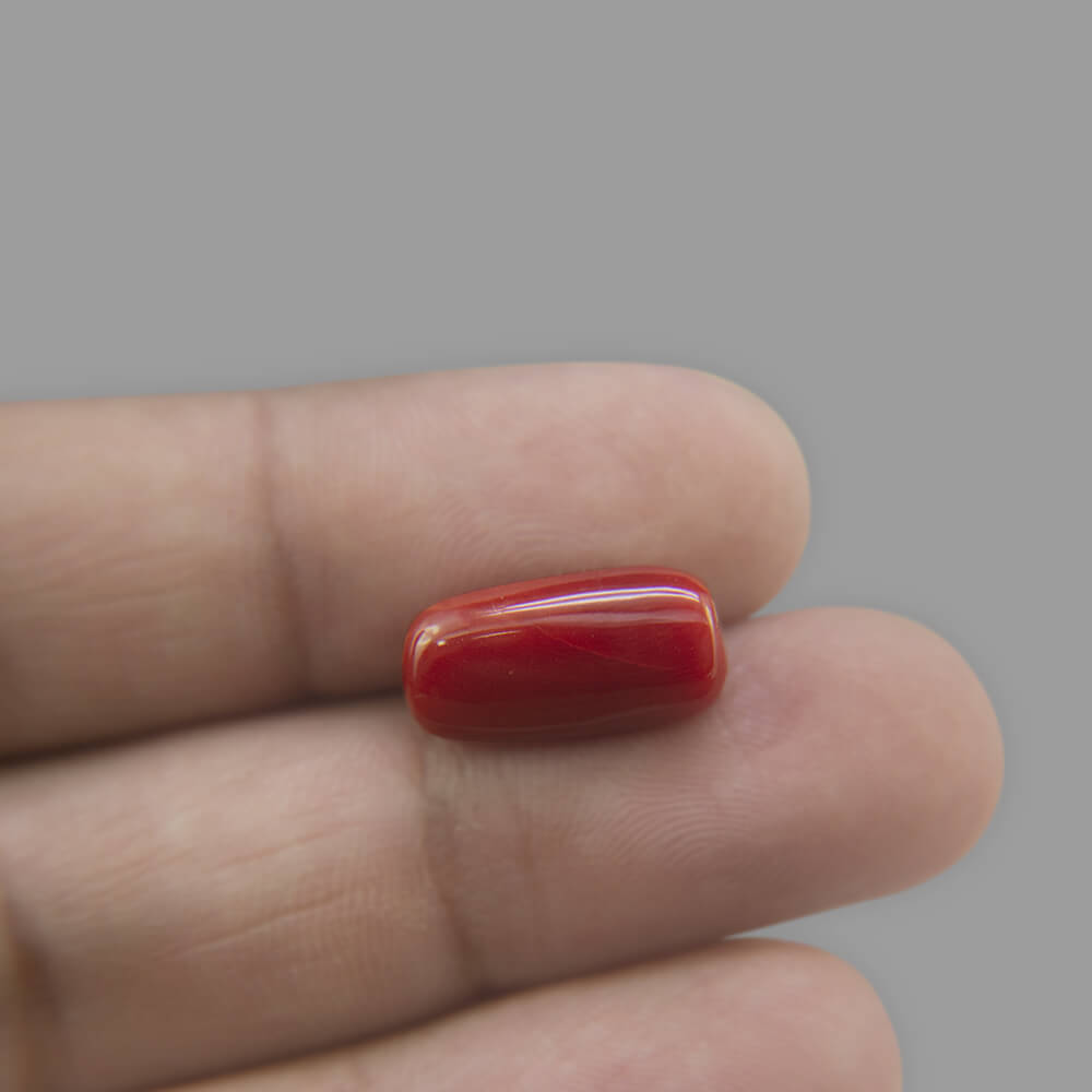 Red Coral - 7.36 Carat