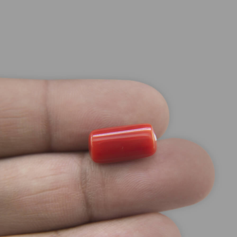 Red Coral - 7.02 Carat