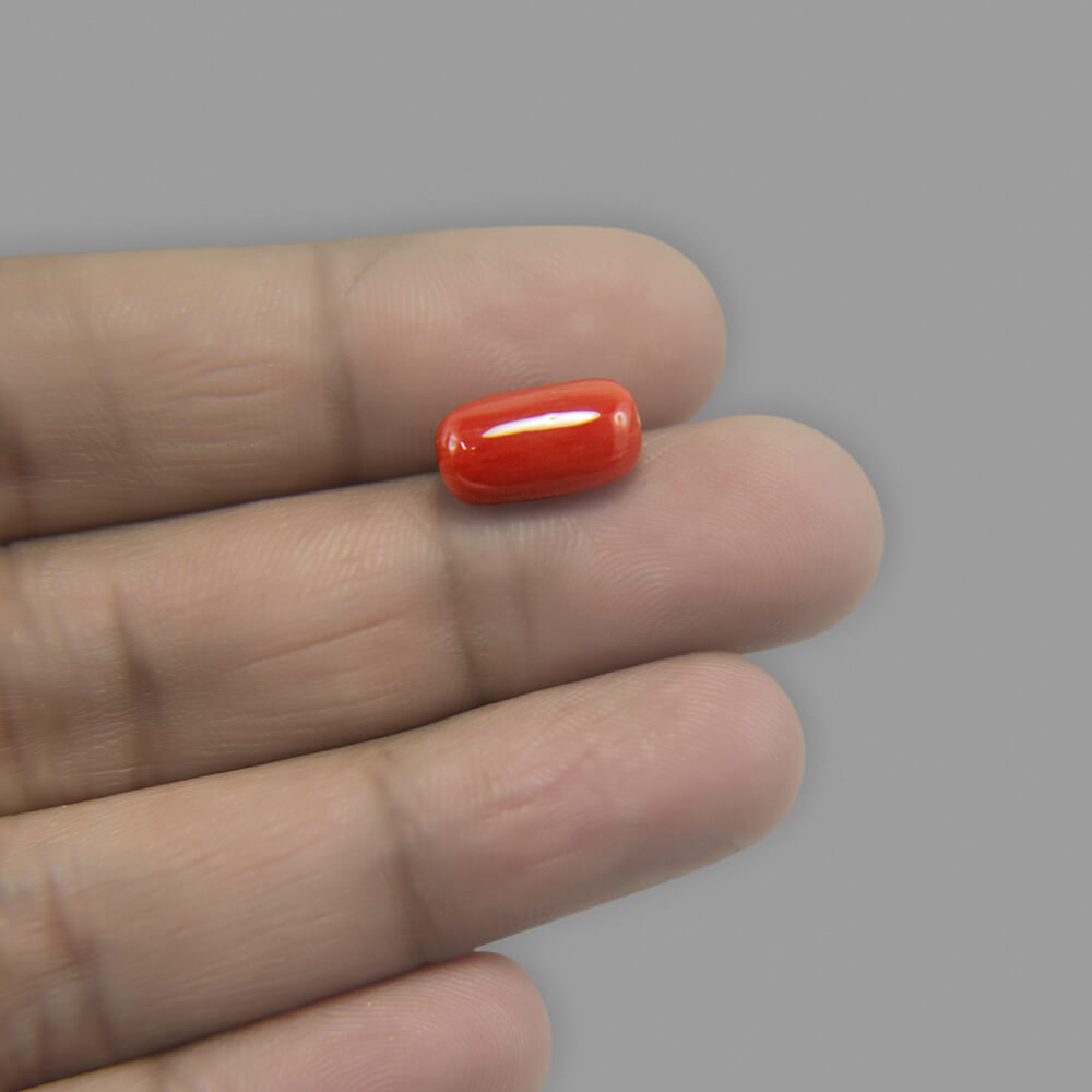 Red Coral - 6.97 Carat