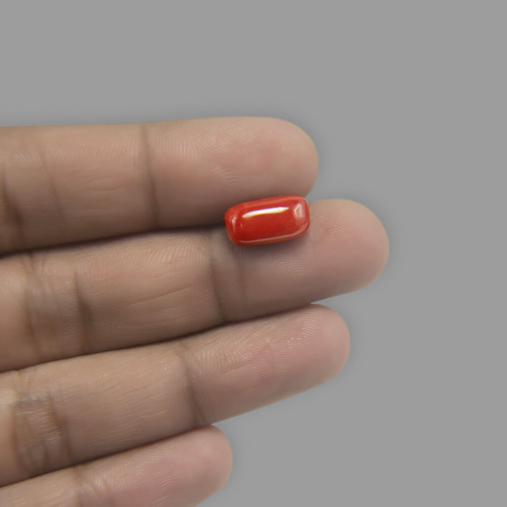 Red Coral - 6.50 Carat
