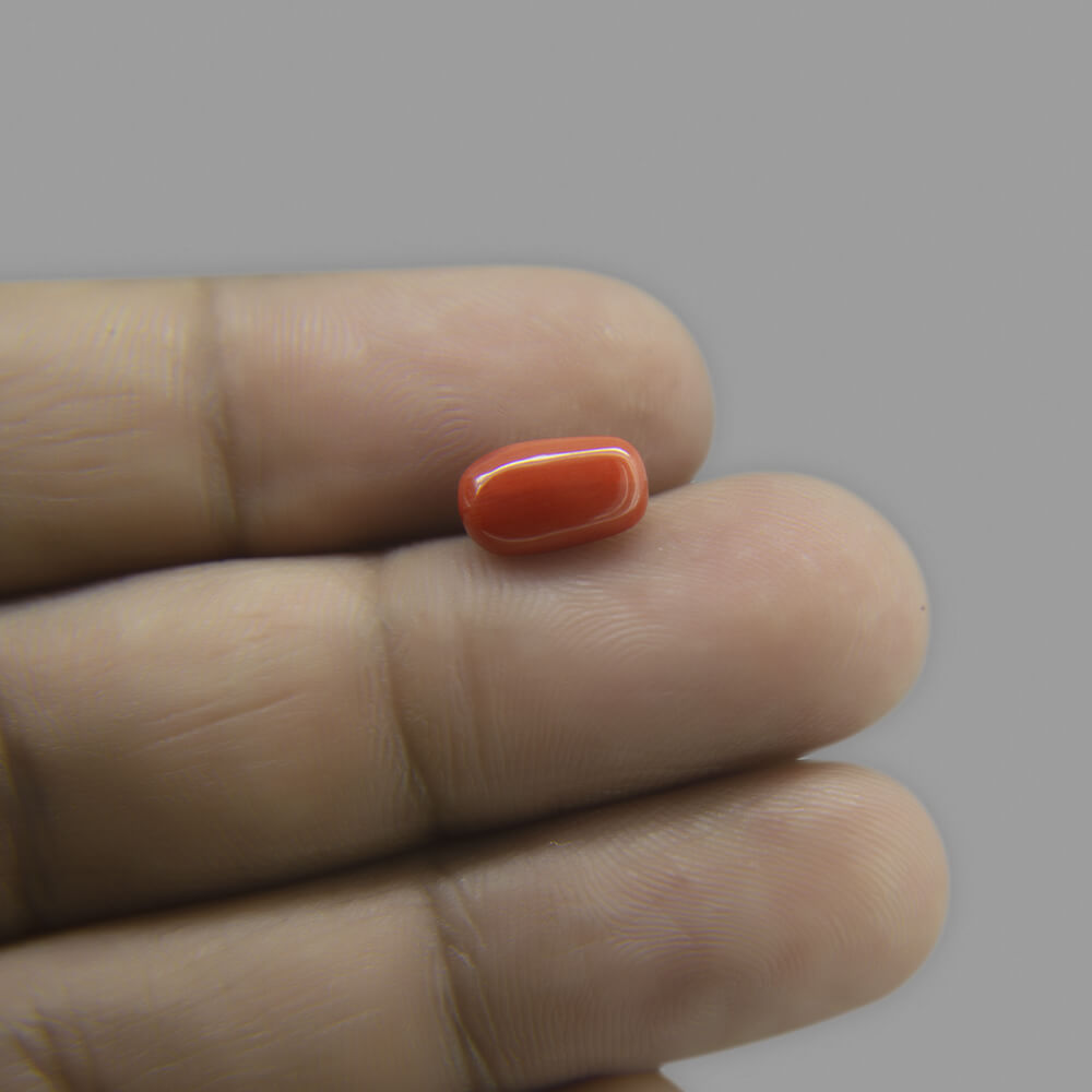 Red Coral - 5.47 Carat