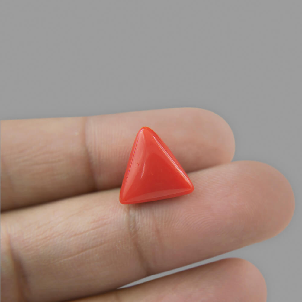 Red Coral - 7.90 Carat