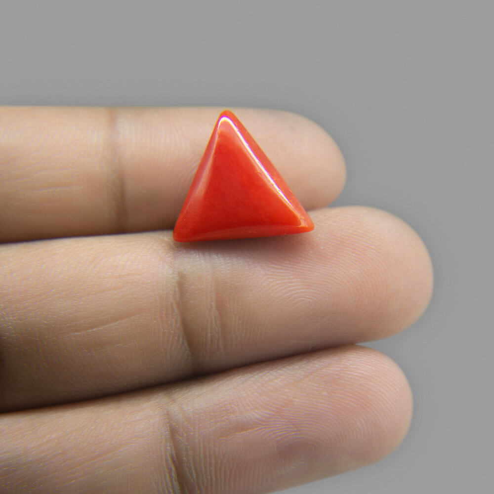 Red Coral - 7.14 Carat