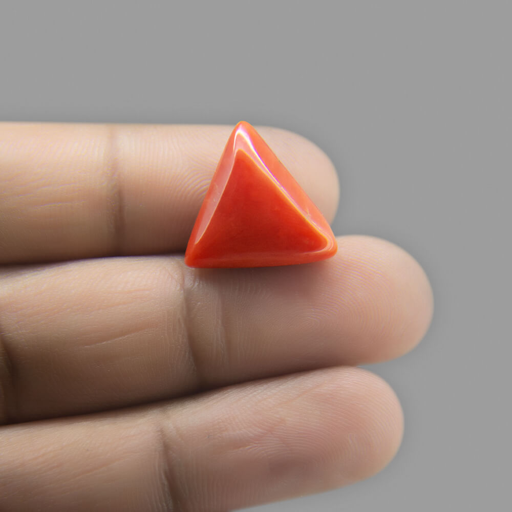Red Coral - 7.05 Carat