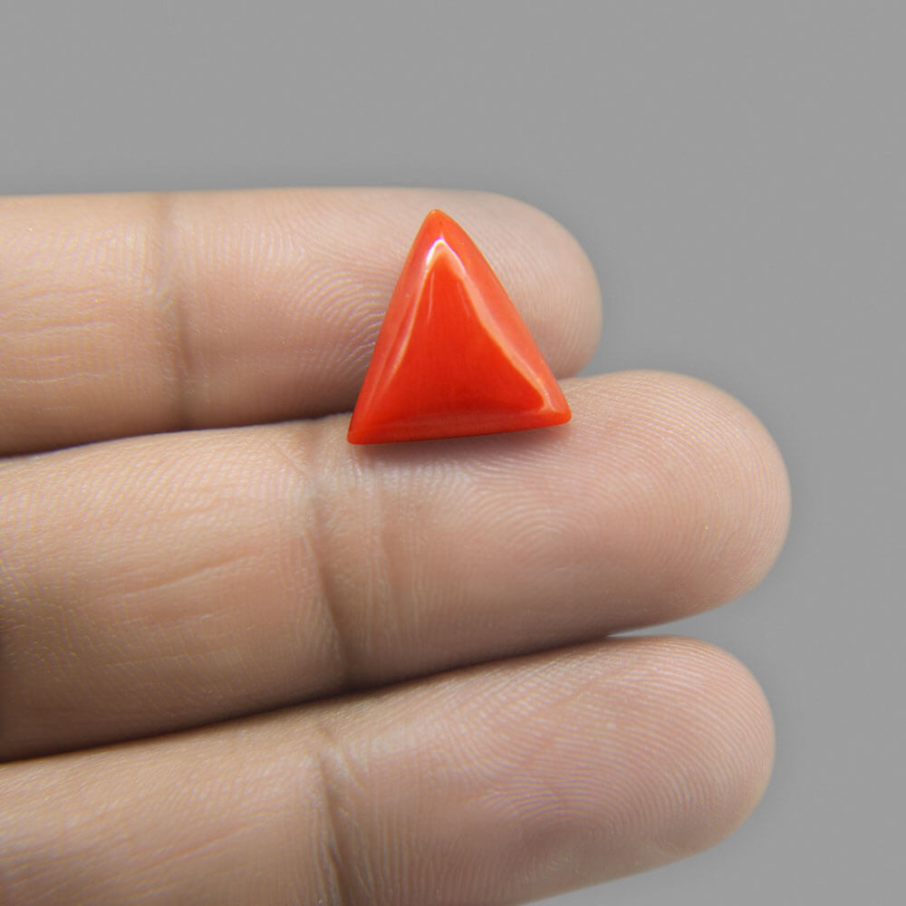 Red Coral - 7.68 Carat
