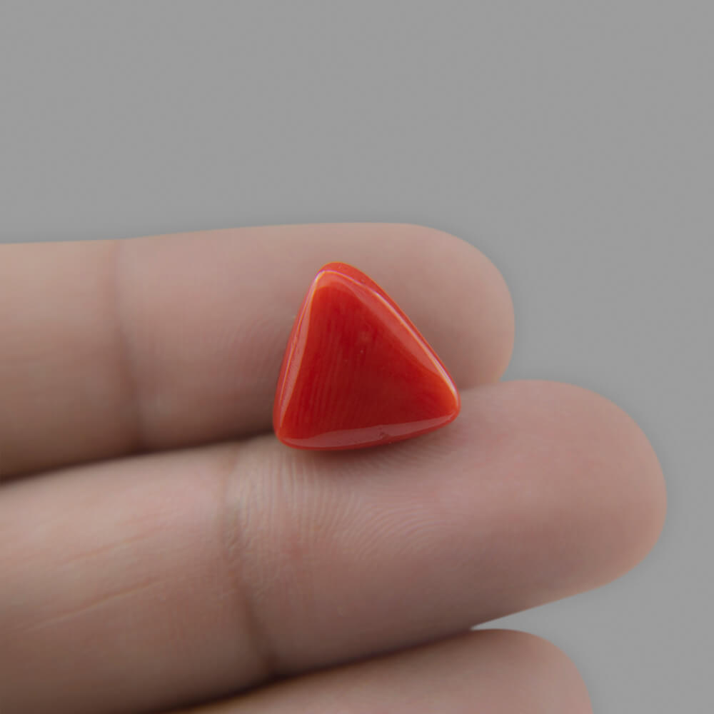 Red Coral - 6.70 Carat