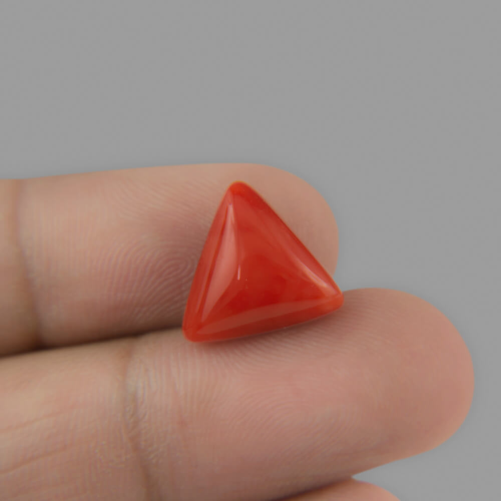 Red Coral - 7.59 Carat