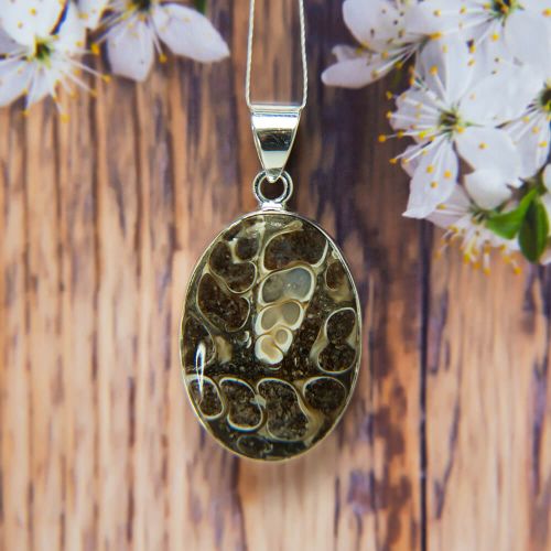 Jasper Silver Pendant