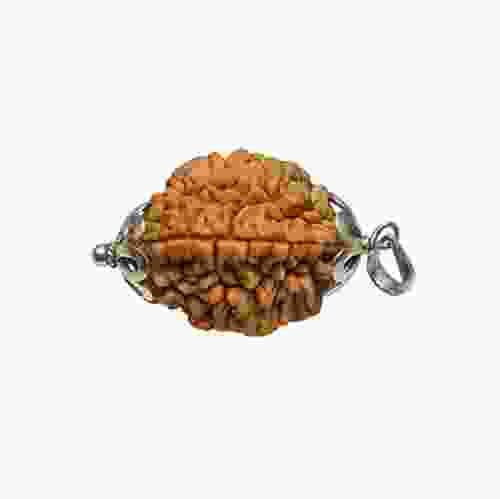 Natural 2 Mukhi Rudraksha Lab Certified Pendant in Silver 