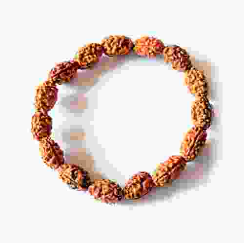 2 Mukhi Rudraksha Stretchable Bracelet 