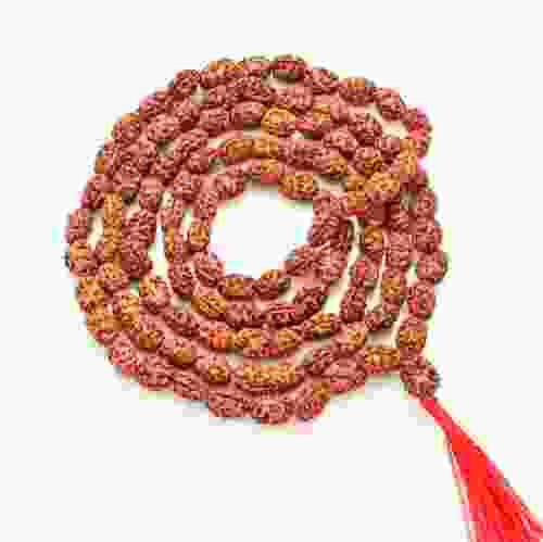 2 Mukhi Rudraksha Beads Mala