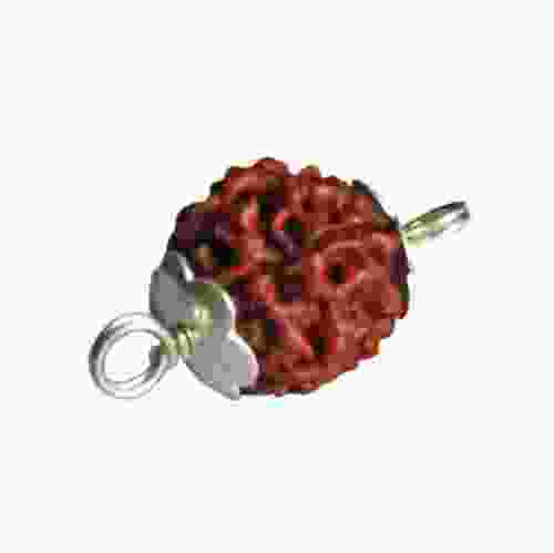 Natural 3 Mukhi Rudraksha Lab Certified Pendant in Silver 
