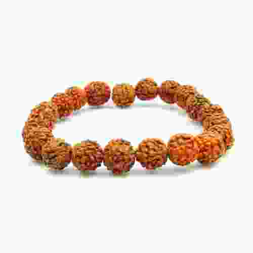 3 Mukhi Rudraksha Stretchable Bracelet 