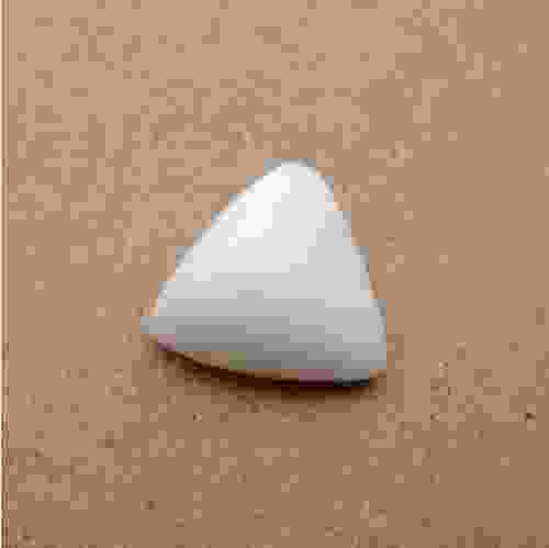 5.6 Carat 6.21 Ratti Natural White Coral (Moonga) Gemstone