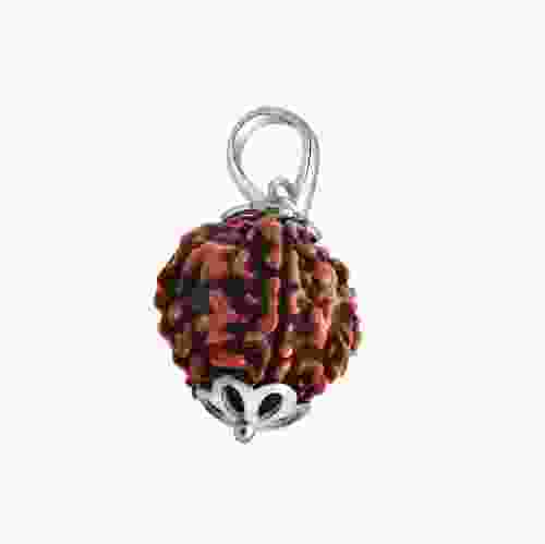 Natural 5 Mukhi Rudraksha Lab Certified Pendant in Silver 