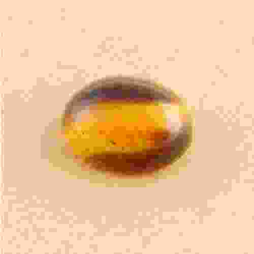 6.62 Carat/ 7.34 Ratti Natural Tiger's Eye Gemstone